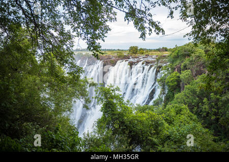 Die rauschenden Wasser der Victoria Falls Sprühnebel in die Luft, die in den Bereichen Dicken, üppige Vegetation beitragen. Mosi-oa-Tunya Nationalpark, Zimbab Stockfoto