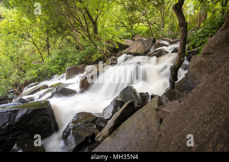 Fließendes Wasser rauscht Vergangenheit auf eine Felsformation im Regenwald in Victoria Falls Victoria Falls, Sambia Stockfoto