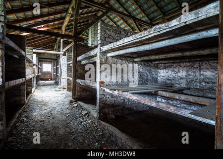 Das Innere der Baracke Gebäude, die zeigen, wie die Gefangenen in Etagenbetten und gemeinsame Toiletten im Konzentrationslager Auschwitz-Birkenau untergebracht waren, Stockfoto