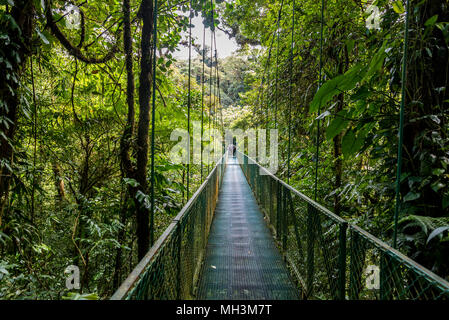 Hängebrücken in Nebelwald - Monteverde, Costa Rica Stockfoto