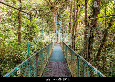 Hängebrücken in Nebelwald - Monteverde, Costa Rica Stockfoto