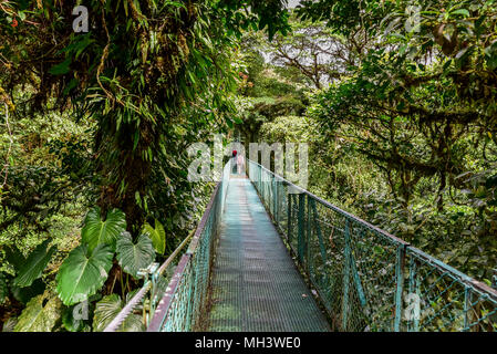 Hängebrücken in Nebelwald - Monteverde, Costa Rica Stockfoto