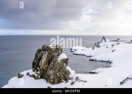 Felsen der Half Moon Island, einer Insel in der Antarktis, die South Shetland Inseln der Antarktischen Halbinsel Region. Stockfoto