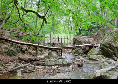 Die holzbrücke am Wasserfall Jur-Jur Wasserfall auf der Rive Stockfoto