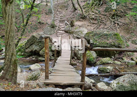 Die holzbrücke am Wasserfall Jur-Jur Wasserfall auf der Rive Stockfoto