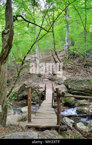 Die holzbrücke am Wasserfall Jur-Jur Wasserfall auf der Rive Stockfoto