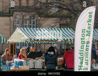 Phantassie biologischem Obst und Gemüse ausgeht, Haddington Farmers Market, Place d'Aubigny, Court Street, East Lothian, Großbritannien Stockfoto