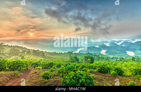 Ta Mist See am Morgen, wenn die Sonne aufgeht, am Gipfel des Berges scheint Nebel in die See voller Nebel und kleine Inseln Paradies Stockfoto