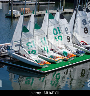 Eine Flotte von ZForce C 420 Jollen sitzen an der Marina Bay, in Quincy, Massachusetts, USA angedockt. Stockfoto