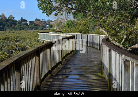 Beliebte und spektakulären Harbourside Holzsteg rund um Hobson Bay, Remuera, Auckland, Neuseeland Stockfoto