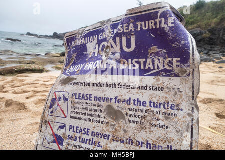 Meeresbiologie Sea turtle Sicherheit und Erhaltung Zeichen auf Lager olowalu Maui olowalu hekili, Meer dreht am Strand Stockfoto