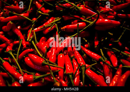 Stapel der Frische rote Chilischoten zum Verkauf auf einen Markt während der Nacht am langen Bien Markt in Hanoi, Vietnam. Stockfoto