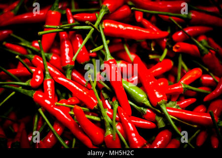 Stapel der Frische rote Chilischoten zum Verkauf auf einen Markt während der Nacht am langen Bien Markt in Hanoi, Vietnam. Stockfoto