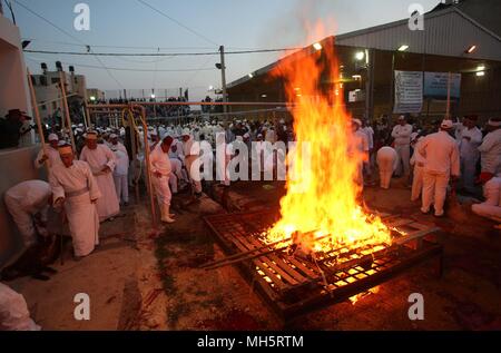 Mitglieder der Samariter Gemeinschaft cook Passahlämmer innere lodernde Feuer Gruben das Passah schlachten (korban Pesakh) Ritual, auf dem Berg Garizim in der Nähe der Stadt Nablus im Westjordanland, 29. April 2018 zu markieren. Die Samariter, ein ethnoreligious Gruppe des Levant aus der Israeliten oder Hebräer, des Alten Orients, Claim Abstieg vom Stamm Ephraim und Stamm Manasse (zwei Söhne von Joseph). Nach der Thora, das Passah schlachten erste war in der Nacht von den Israeliten Exodus aus Ägypten angeboten. Foto: Ayman Nobani/dpa Stockfoto