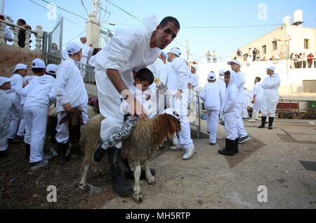 Mitglieder der Samariter Gemeinschaft Passahlämmer zu geopfert werden, um das Passah schlachten (korban Pesakh) Ritual, auf dem Berg Garizim in der Nähe der Stadt Nablus im Westjordanland, 29. April 2018 zu markieren. Die Samariter, ein ethnoreligious Gruppe des Levant aus der Israeliten oder Hebräer, des Alten Orients, Claim Abstieg vom Stamm Ephraim und Stamm Manasse (zwei Söhne von Joseph). Nach der Thora, das Passah schlachten erste war in der Nacht von den Israeliten Exodus aus Ägypten angeboten. Foto: Ayman Nobani/dpa Stockfoto