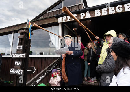 Åland-Inseln, Finnland, 30. April 2018 Menschen ihre Graduierung Hüte tragen, singen alte Lieder und Lagerfeuer in ganz Finnland und die nordischen Länder bauen Abschied von Winter und Willkommen im Frühjahr zu sagen. Im Bild: Hörner sind durchgebrannt, Winter und im Frühjahr usher Usher auf dem Fels der Uffe På Berget auf Åland. Bild: Rob Watkins/Alamy Nachrichten Stockfoto