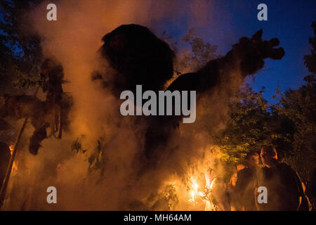 Krakau, Polen. 30 Apr, 2018. Die Teilnehmer in Brand gesetzt. eine Statue aus Salix während der beltane Fest der Feuer neben Krakau Damm in Krakau. Die Beltane Fire Festival ist eine jährliche Partizipative Kunst Event in der Nacht vom 30. April Anfang des Sommers zu markieren. Credit: Omar Marques/SOPA Images/ZUMA Draht/Alamy leben Nachrichten Stockfoto