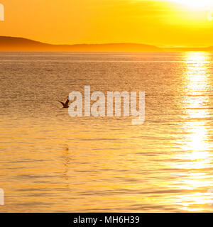 Sonnenuntergang über dem Meer, Konzept der Harmonie und Ruhe. Stockfoto