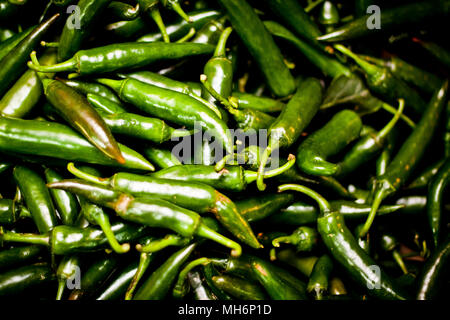 Ein Haufen von frischen grünen Chilis zum Verkauf auf einen Markt während der Nacht am langen Bien Markt in Hanoi, Vietnam. Stockfoto