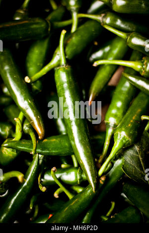 Ein Haufen von frischen grünen Chilis zum Verkauf auf einen Markt während der Nacht am langen Bien Markt in Hanoi, Vietnam. Stockfoto