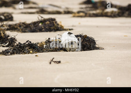 Ein Aluminium trinken kann Lügen in Seetang auf Harlech Strand in West Wales Großbritannien ein Beispiel für die vielen Müll im Meer rund um Großbritannien gewaschen Stockfoto