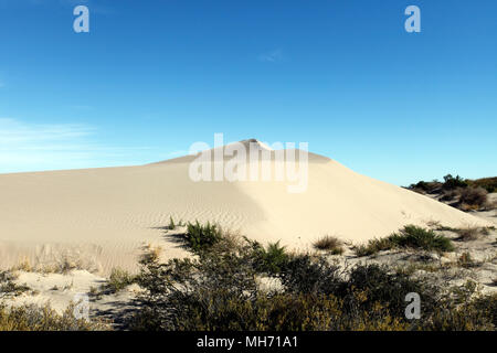 Sand Dünen bei Baliza Acantilado in der Nähe von Punta Cuevas, Puerto Madryn, Chubut, Argentinien. Stockfoto