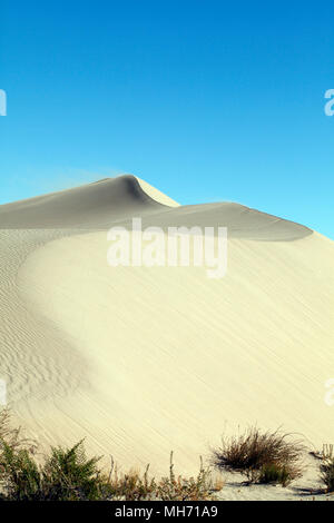 Sand Dünen bei Baliza Acantilado in der Nähe von Punta Cuevas, Puerto Madryn, Chubut, Argentinien. Stockfoto