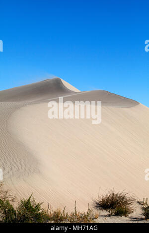 Sand Dünen bei Baliza Acantilado in der Nähe von Punta Cuevas, Puerto Madryn, Chubut, Argentinien. Stockfoto