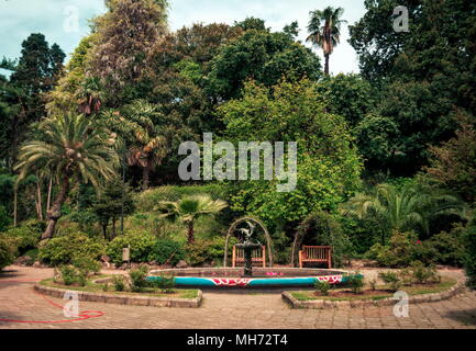 Der botanische Garten in Batumi Georgien Stockfoto