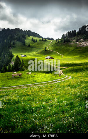 Üppige Swiss Mountain Wiese mit einem Wanderweg, Kühe und ein Bauernhof Stockfoto