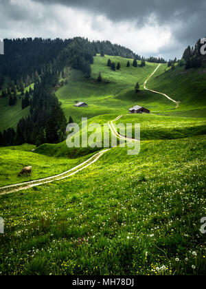 Üppige Swiss Mountain Wiese mit einem Wanderweg, Kühe und ein Bauernhof Stockfoto