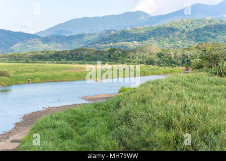 Fluss in Costa Rica im Regenwald Stockfoto