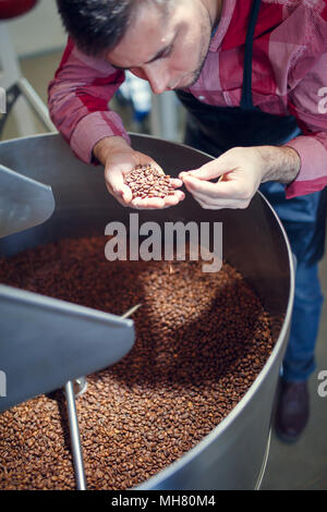 Das Bild des jungen Mannes mit Kaffeebohnen in der Hand neben Röster Stockfoto