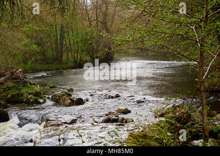 Fluss Llugwy wie es fließt durch Betws-y-Coed in der Nähe der Pont-y-Paar Brücke; North Wales Snowdonia Stockfoto