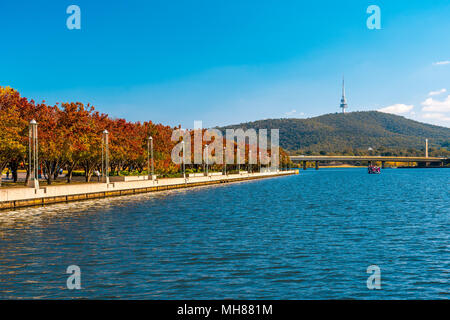 Herbst Farben auf Queen Elizabeth Terrasse in Canberra, Australien Stockfoto