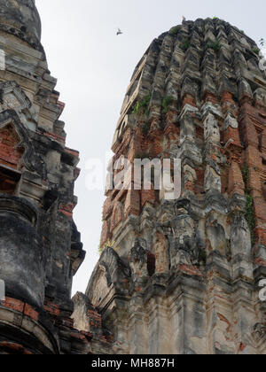 Landschaft der wichtigsten Pagode in Abstimmung Hall des Wat Phra Ram Tempel, archäologischen oder historischen Ort, oder antike Überreste, berühmte touristische Reiseziel in der Provinz Phra Nakhon Si Ayutthaya, Thailand Stockfoto