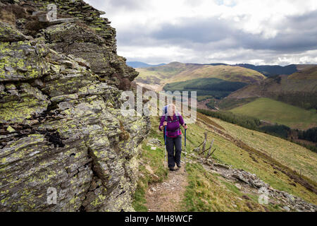 Wanderer auf dem Weg zum Gipfel des Greystones mit dem Berg der Herren Sitz und die Bäume des Thornthwaite Wald dahinter, Lake District, Cumbr Stockfoto