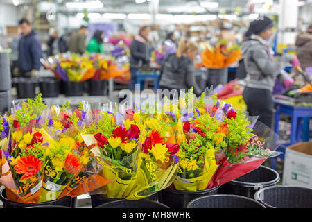 Doral, Florida - Arbeitnehmer Prozess Schnittblumen aus Südamerika in die USA Blumenstrauß Lagerhaus in der Nähe des Miami Flughafen. Arbeiten bei 40 Grad F, Frauen pa Stockfoto