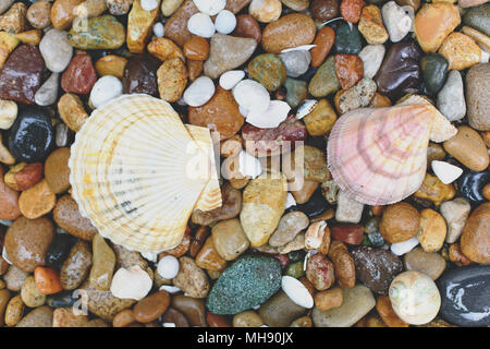 Runde Meer Steine und Muscheln strukturierten Hintergrund Stockfoto