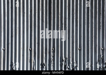 Abblätternde Farbe, Grau, auf Wellblech Wand Stockfoto