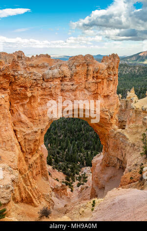 Bryce Canyon National Park, Utah, USA an der natürlichen Brücke. Stockfoto