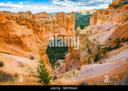 Bryce Canyon National Park, Utah, USA an der natürlichen Brücke. Stockfoto