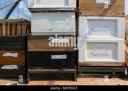 Bienenstock Teile einschließlich Deep Body supers Stockfoto