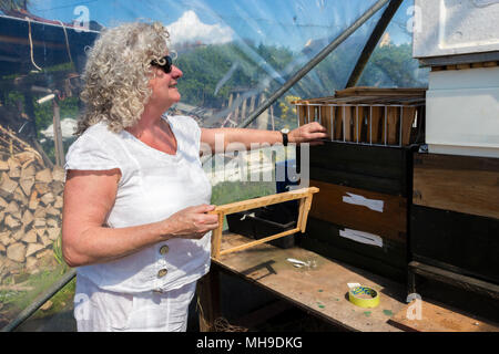 Frau Imker mit Rahmen und tiefen hive Gremien und Statisten Stockfoto