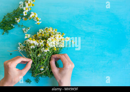 Junge kaukasier Frau binden Bouquet von Frisch gepflückte Kamille Blüten mit Garn Hellblau Holz Hintergrund. Beauty Skin Care gesunde Infusionen Te Stockfoto