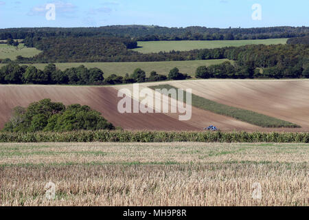 Ackerland in der South Downs, England Stockfoto