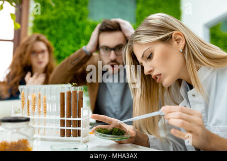 Team von Biologen der Universität zu experimentieren und die Erforschung neuer Methoden der Pflanzenzüchtung. Stockfoto