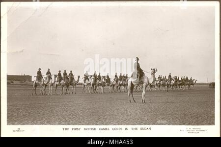 Der erste Britische Camel Corps im Sudan ca. 1915 Stockfoto