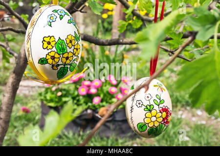 Ostern egss hängt am Zweig im Garten Stockfoto