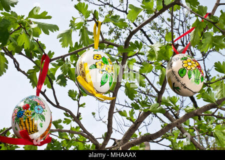 Ostern egss hängt am Zweig im Garten Stockfoto